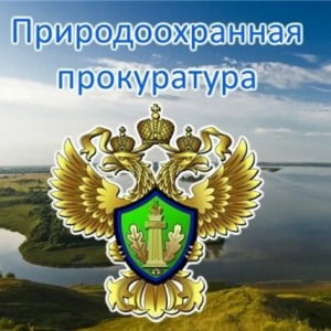 Разъяснение Калужской межрайонной природоохранной прокуратуры о возможности владения на праве собственности земельным участком, расположенным в береговой полосе и акватории водного объекта.